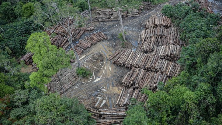  Operação Tamoiotatá é lançada para combater desmatamento e queimadas no Sul do Amazonas