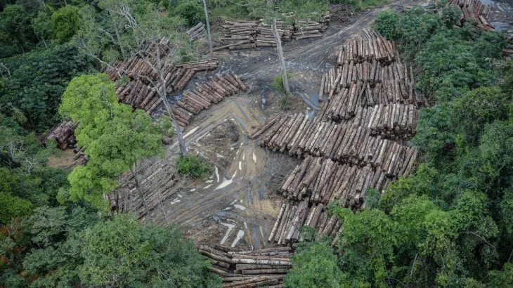 Operação Tamoiotatá é lançada para combater desmatamento e queimadas no Sul do Amazonas