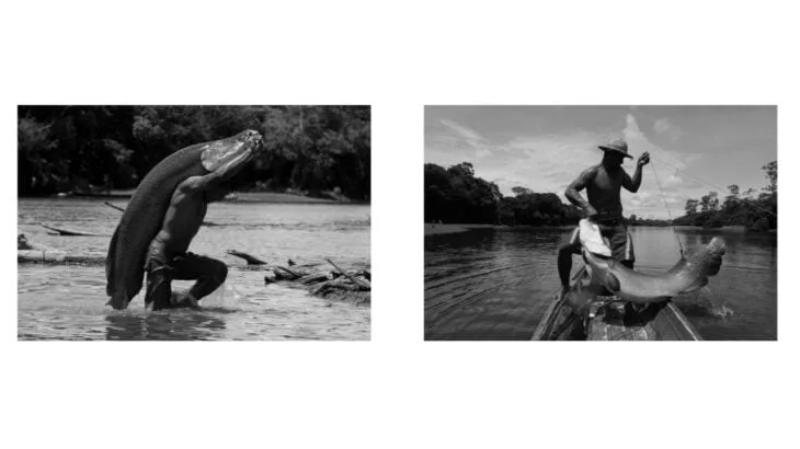  Fotógrafo da CENARIUM estampa 25ª edição da revista internacional Carcará