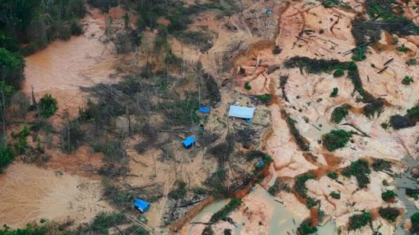  No MT, invasão de garimpeiros representa nova corrida pelo ouro na Amazônia