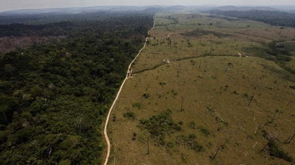  Câmara dos Deputados analisa proibir desmatamento legal na Amazônia por cinco anos