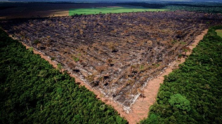  Desmatamento na Amazônia cresce 70% e bate terceiro recorde seguido da década