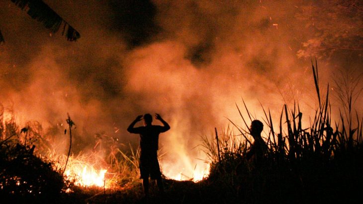  Falta do Inpe em divulgação sobre queimadas na Amazônia gera críticas