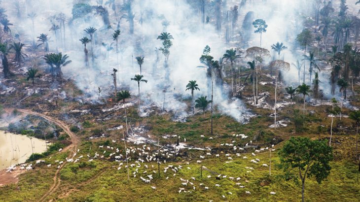  Pará é maior emissor de CO2 e adere à campanha para zerar gases do efeito estufa