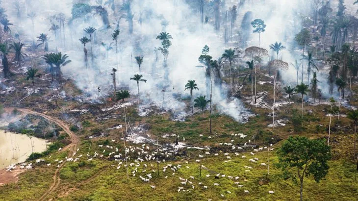 Pará é maior emissor de CO2 e adere à campanha para zerar gases do efeito estufa