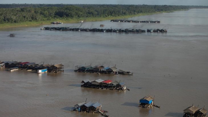  Exclusivo: ‘estamos vivendo uma epidemia de garimpos na Amazônia’, diz porta-voz do Greenpeace