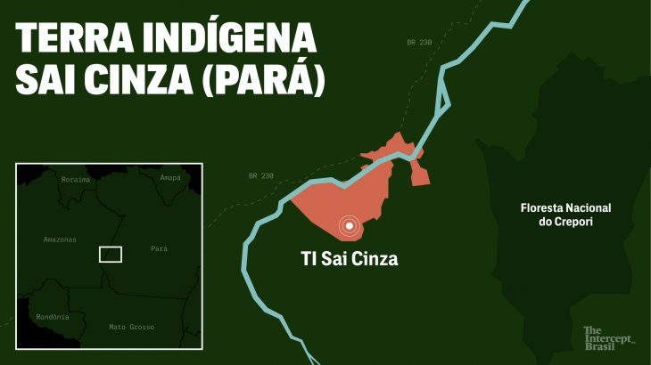  Imagens mostram estrago de garimpo ilegal em Terra Indígena no Pará; veja antes e depois