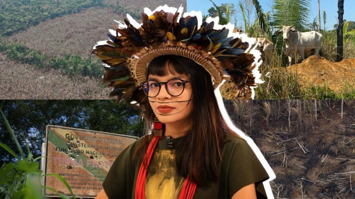  Contra invasões, garimpo ilegal e desmatamento, veja como Txai Suruí usa a internet na defesa dos povos indígenas