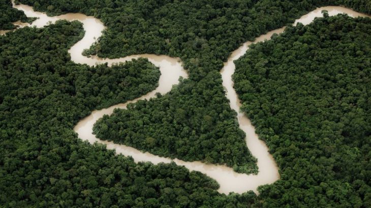  Acordo de cooperação promete desenvolver Amazônia com conservação florestal e crédito de carbono