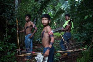  Terras Indígenas mais ameaçadas pelo desmatamento na Amazônia estão no Pará e em Rondônia, revela Imazon