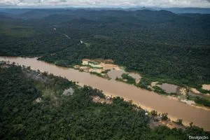  Associação Hutukara pede retirada urgente de garimpeiros da região de Waikás, em Roraima