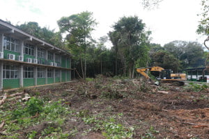  ‘Muito triste e violento’, diz ambientalista sobre desmatamento na Universidade Federal do AM