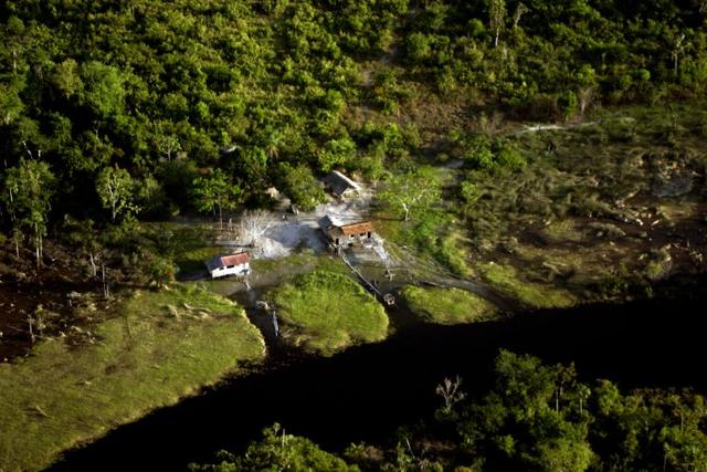  ‘Renda, floresta e vida’: estudo destaca as potencialidades naturais da Reserva Extrativista Verde Para Sempre, no Pará