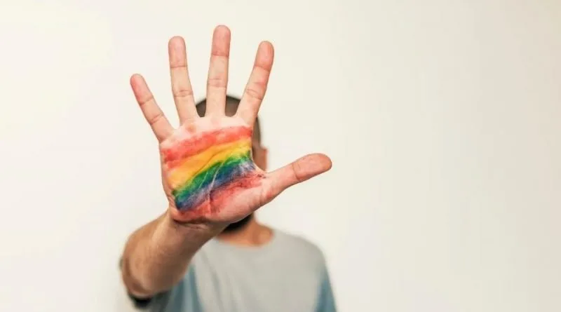  Integrantes e aliados do movimento ao Combate à LGBTfobia atentam para melhorias no atendimento à saúde da população LGBTQIA+