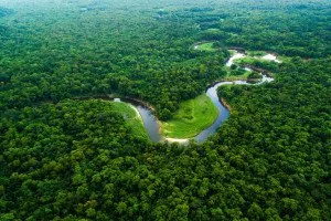  Eleições 2022: Amazônia é pauta obrigatória entre os candidatos à Presidência; ‘todos irão falar algo’