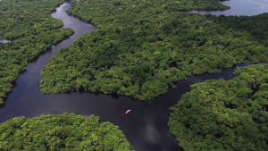  A ditadura do narcotráfico na Amazônia