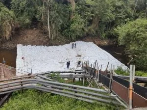  Após denúncia, Petrobras é multada por crime ambiental no Amazonas; empresa aterrava igarapé dentro de refinaria