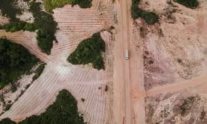  ‘Claramente possui motivação política’, afirma Observatório da BR-319 sobre emissão de licença pelo Ibama