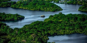  A Amazônia precisa de estadistas