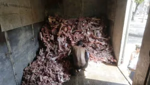  Fome e extrema pobreza: os desafios do Brasil
