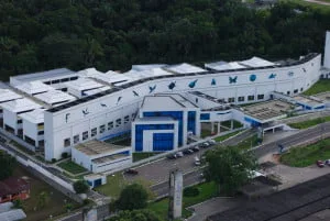 Estudo sobre patente de bioinsumos desperta potencial de biotecnologia em produtos amazônicos