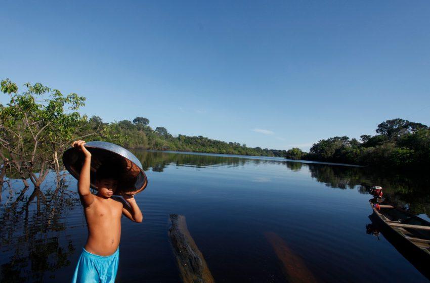  Pan-Amazônia: sem senso para um consenso