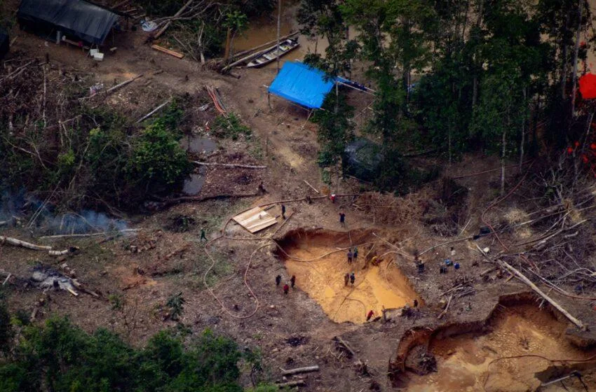  EDITORIAL – Garimpo ilegal e o ‘sangue’ na terra amazônida