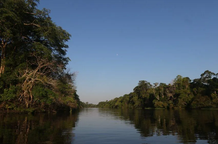  EDITORIAL – Identidade e pertencimento para visibilização de desafios na Amazônia