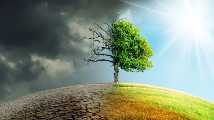  Ambientalista analisa meios de mitigação da crise climática